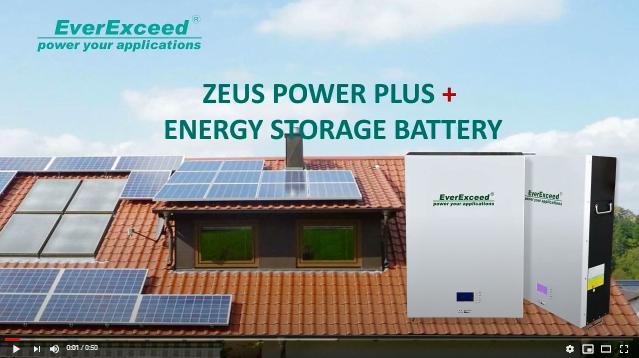EverExceed Zeus Power Plus + rozwiązanie do montażu na ścianie baterii litowej

