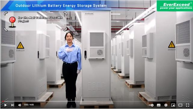 Zewnętrzny system magazynowania energii z baterią litową EverExceed